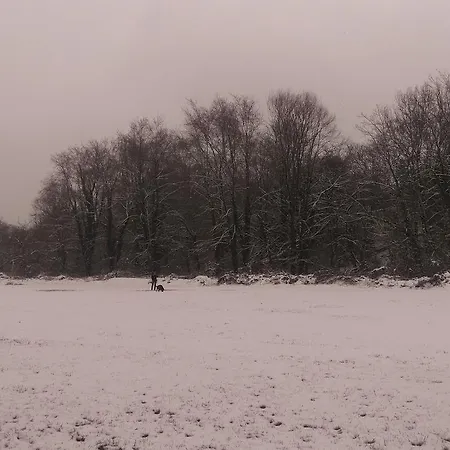 Lejlighed Del Parco
